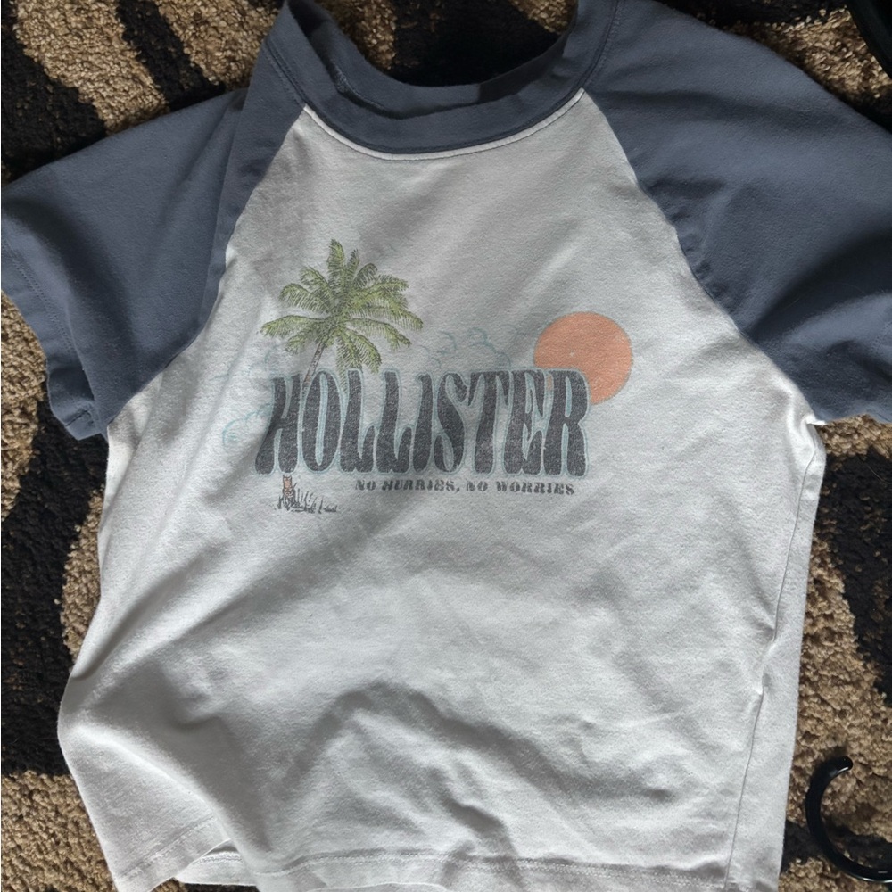 Hollister Blue and White Short Sleeve Tee with Palm Graphic
